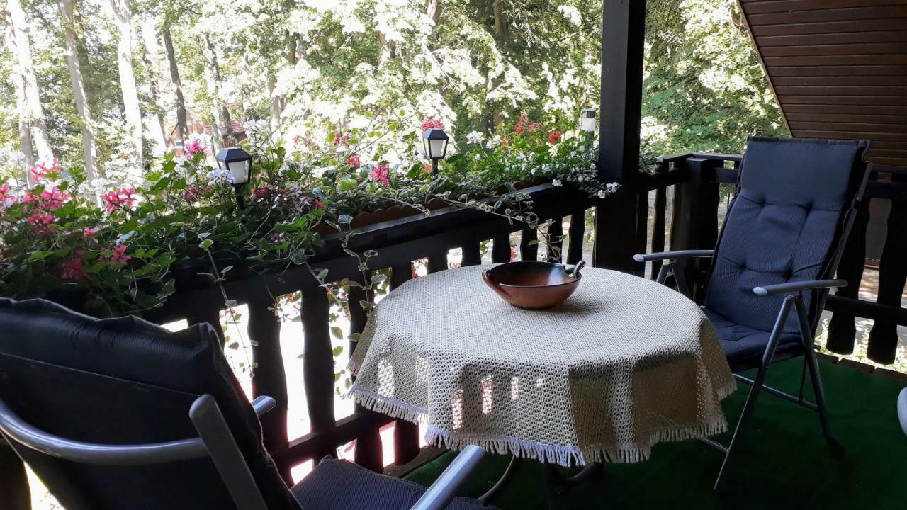 Apartment mit Seeblick